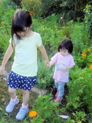 IMG_20220728_165551