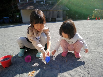 IMG_20221029_102250