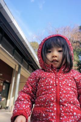 DSC03901