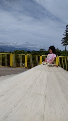 DSC_1186