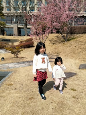 IMG20240316111305