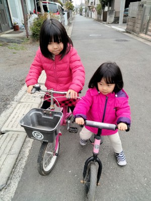 IMG20240324143300