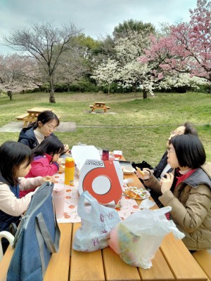 IMG20240401113446