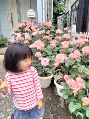 IMG20240519100733