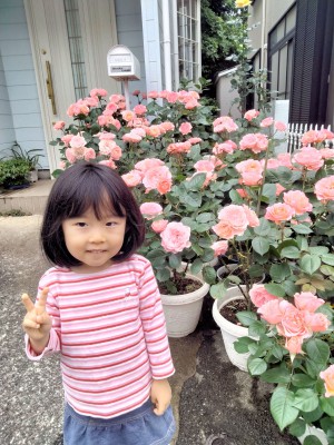 IMG20240519100736